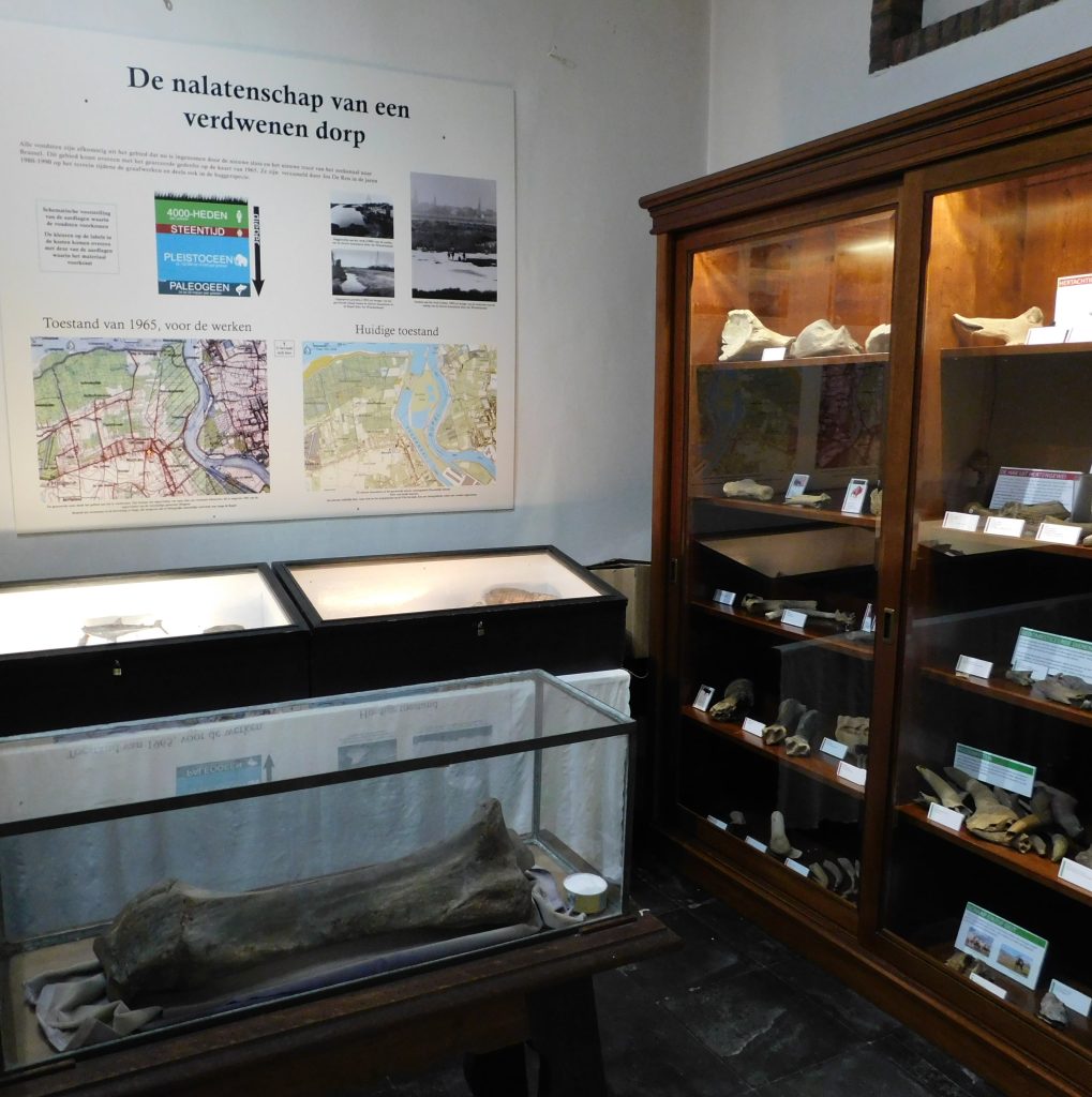 Wonderkamer Naturalia